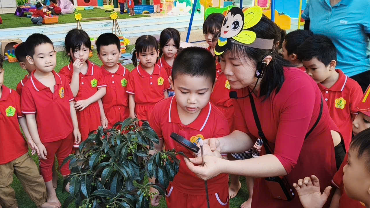 z7199032340776 175d7fab825503d836226eb63161082c